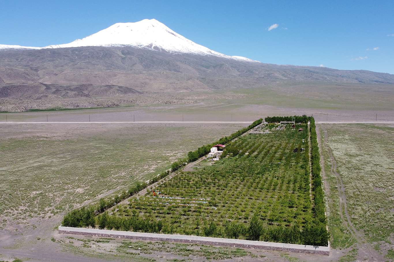 Kurduğu bahçe ile Ağrı Dağı'nın turizm potansiyeline katkı sunmak istiyor Kurduğu bahçe ile Ağrı Dağı'nın turizm potansiyeline katkı sunmak istiyor